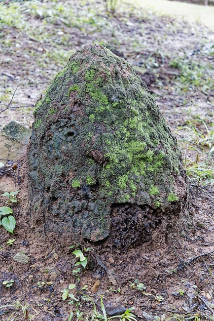 Cérémonie Prasat Don Tuan-010